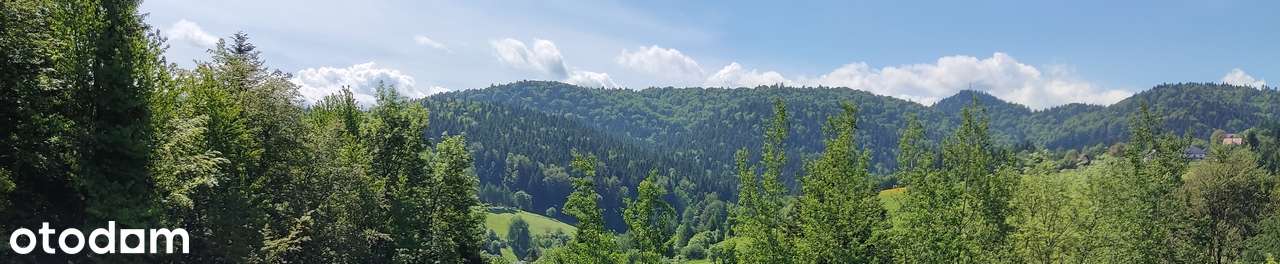 PIENINY - 4 apartamenty, inwestycja na dużej działce widokowej 35 arów - Pełny obrazek: 3/4