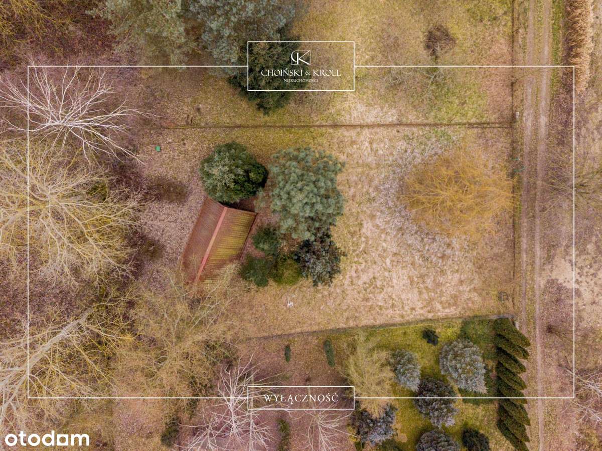 Hit Działka z widokiem na Jezioro Okazja - Pełny obrazek: 2/19