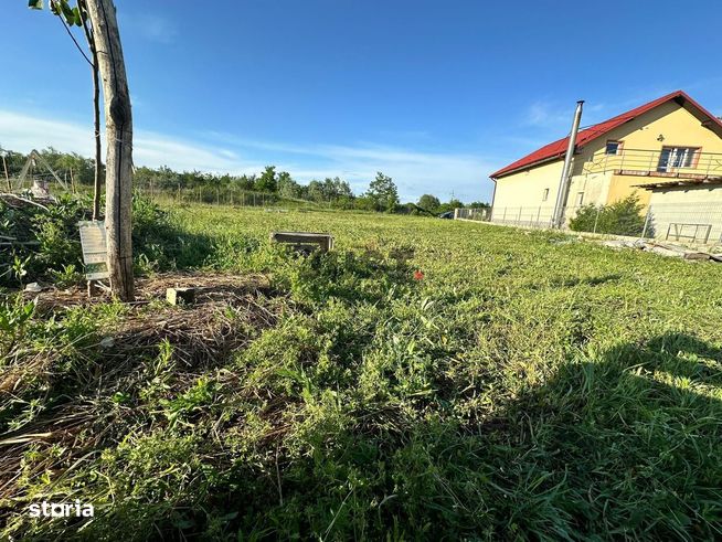 Teren Intravilan în Iclod – Refugiul Tău,Pregătit pentru Construcție-5