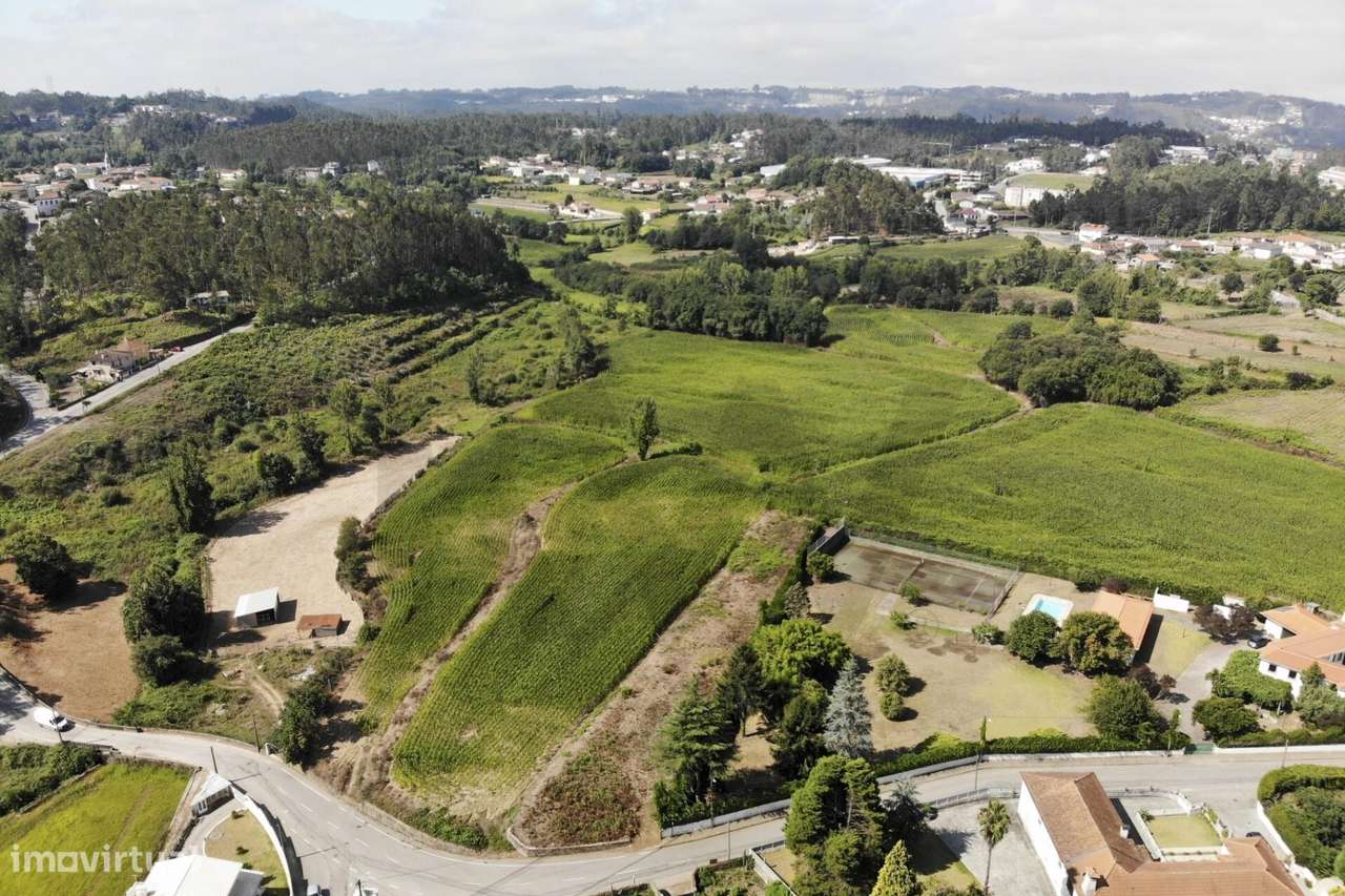 20.590 m2 | Excelente Exposição Solar | Regato e Rego de Rega | Guisan-15