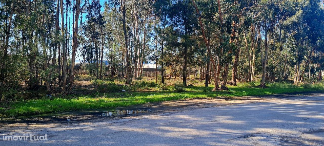 Terreno industrial na Quinta do Anjo - Palmela