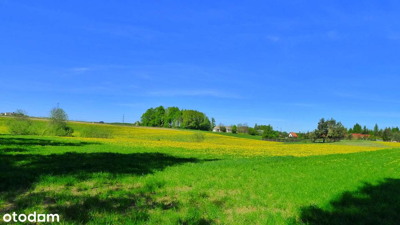 Bakałarzewo - działki budowlane w Nowej Wsi - Pełny obrazek: 5/7