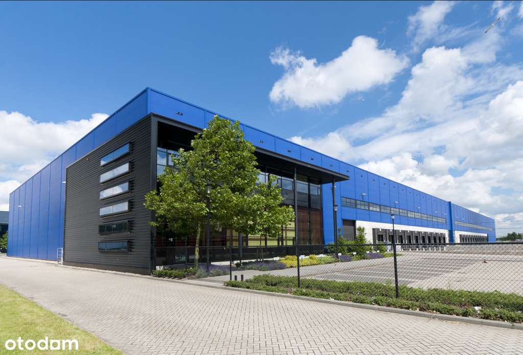 Magazyn 5 000 MKW, Lędziny, bez prowizji - Pełny obrazek: 1/1