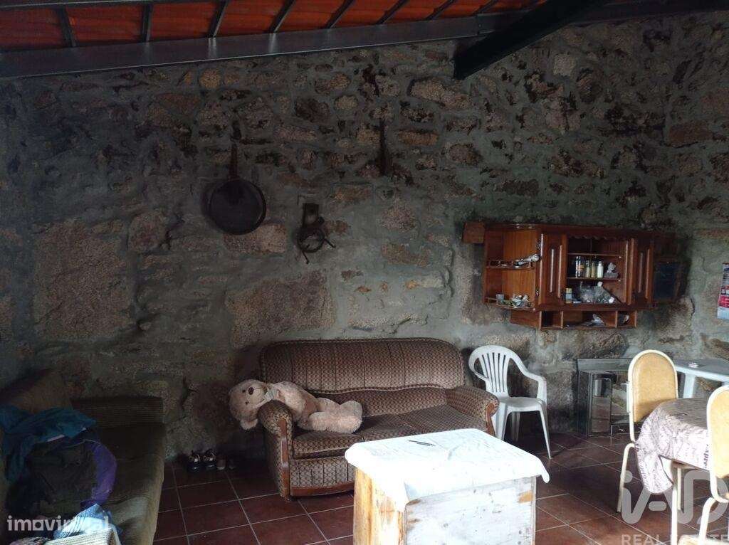 Terreno Agrícola em Sendim-19