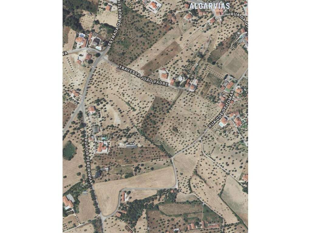 Terreno 57000 m2 com Edificação e Ruína - Tomar - 200.000€ - Grande imagem: 2/6