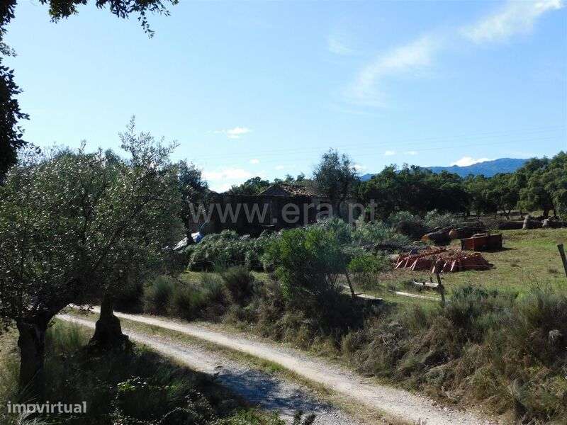 Quinta T1 / Fundão, Vale Prazeres - Grande imagem: 4/15