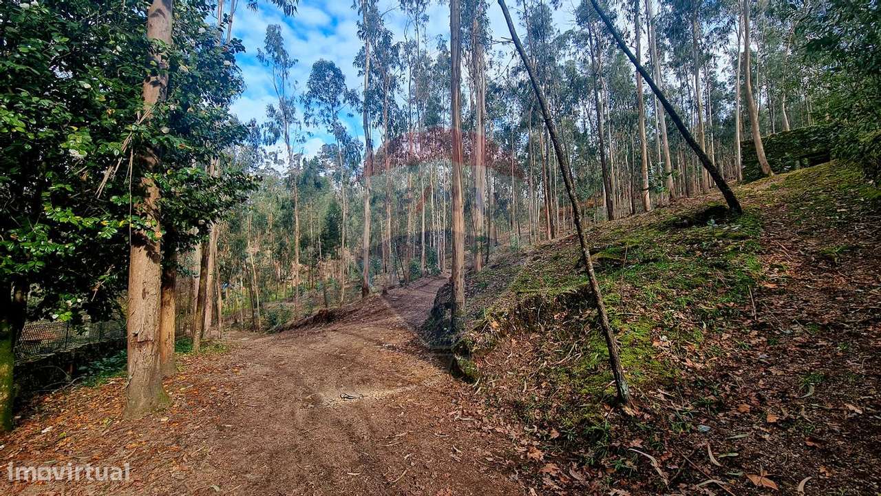 Quinta T0 para venda - Grande imagem: 5/48