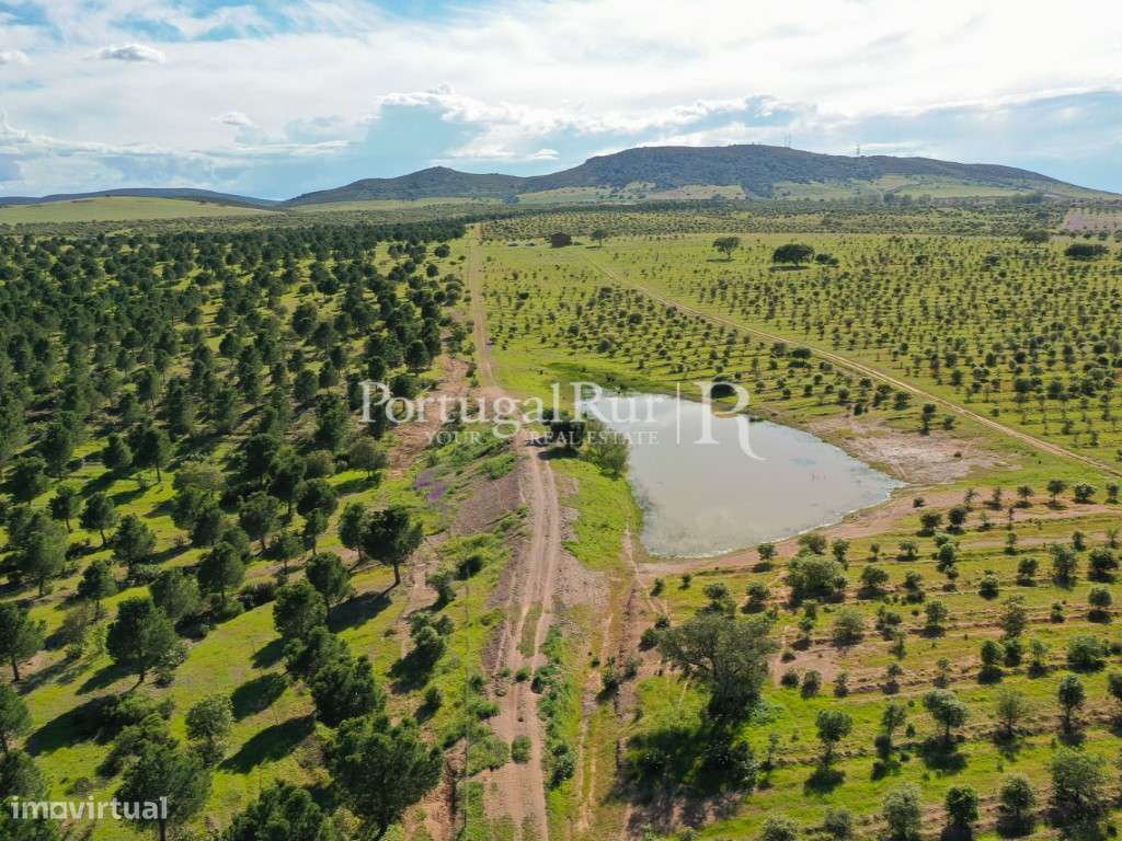 Herdades de Caça com 1300 Hectares, junto do rio Guadiana-32