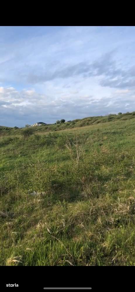 Teren Intravilan 6632 mp Dezmir - Vedere Panoramică Asupra Clujului - Imagine principală: 4/7