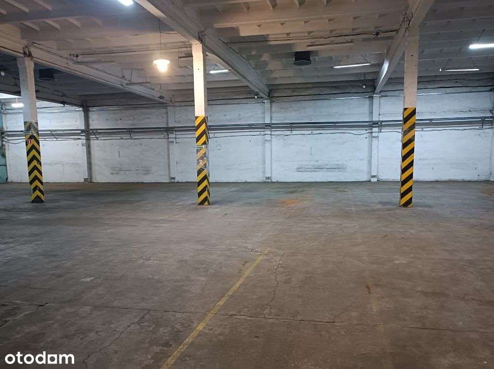 Atrakcyjny magazyn 154,4 m2 PODOLANY - Pełny obrazek: 4/6