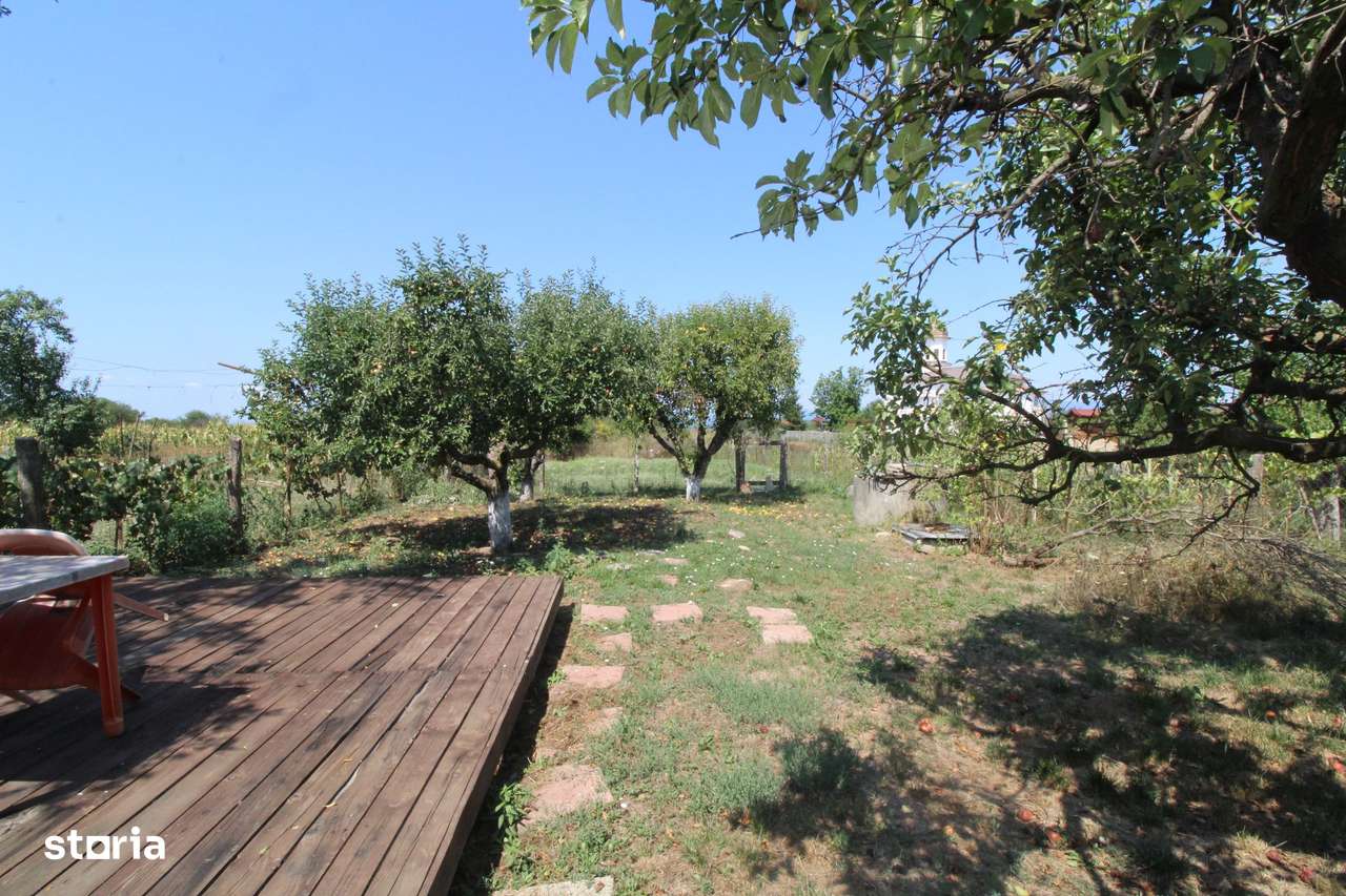 Casă de vânzare – 2 clădiri, teren generos Iași Gorj-15