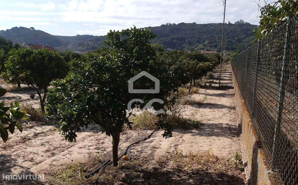 Terreno para construção com 7.415 m² em Cabanas, Quinta do Anjo, Palme-16