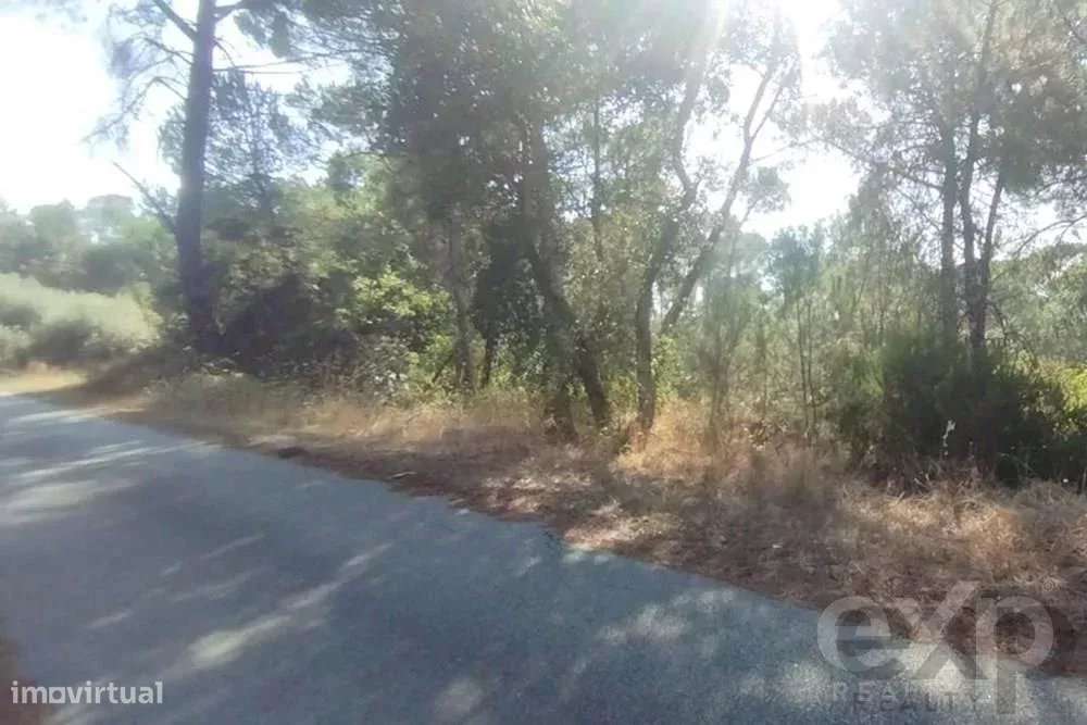 Quintinha com Terreno Urbano em Nelas - Grande imagem: 5/9