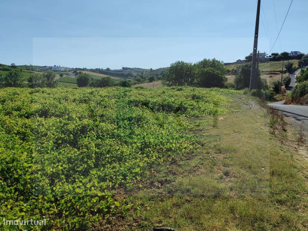 TERRENO PLANO A 40 MINUTOS DE LISBOA-5