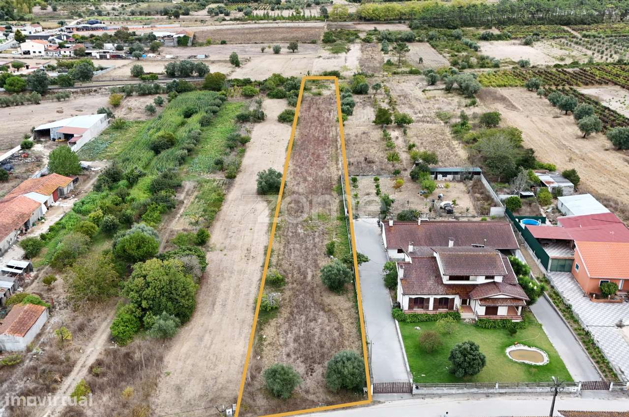 Terreno Cadima - Grande imagem: 4/15