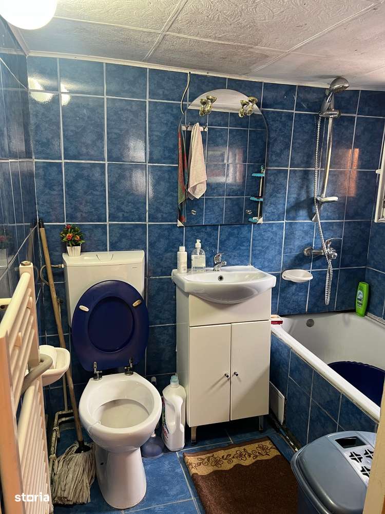 Casa individuala, in cartierul Lazaret cu bucatarie de vara si terasa-11