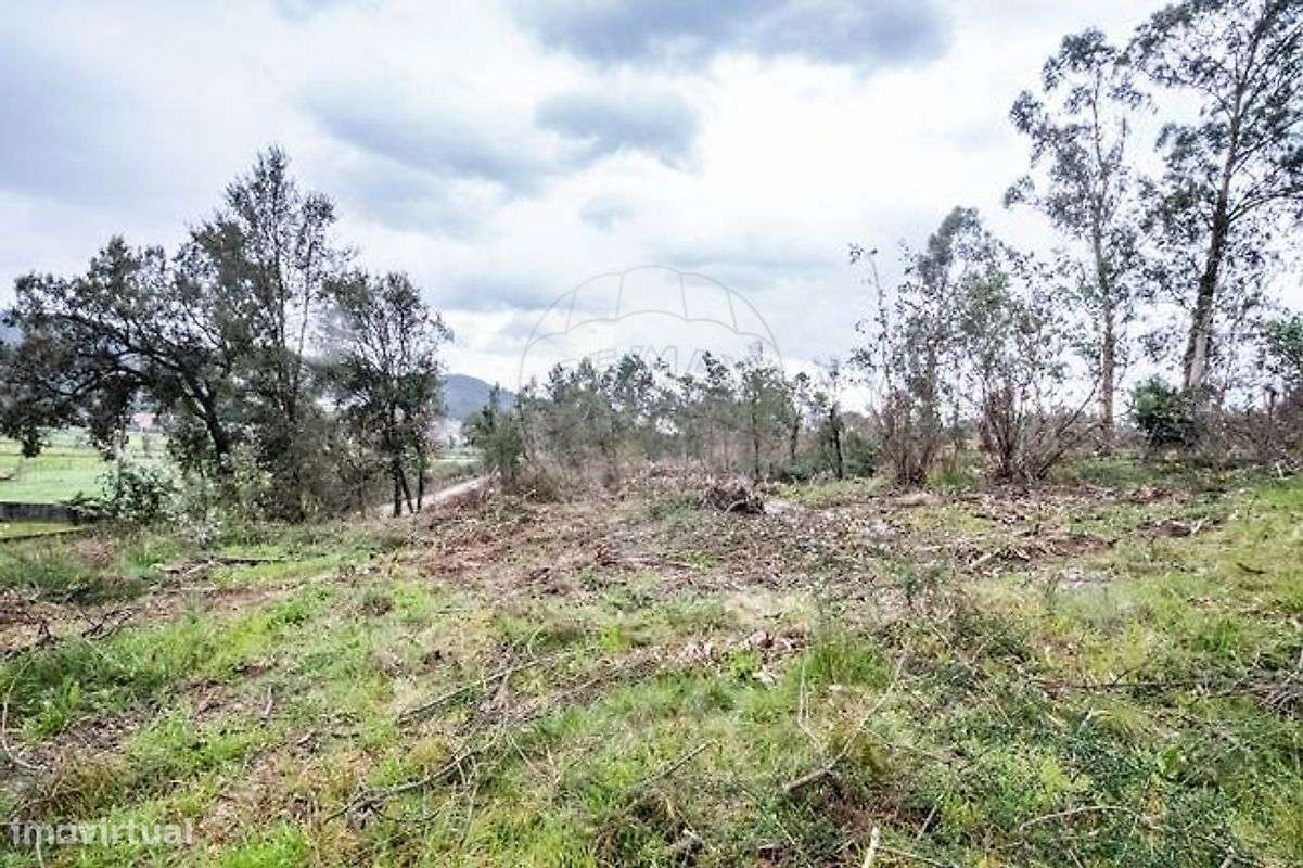 Terreno  para venda - Grande imagem: 4/4