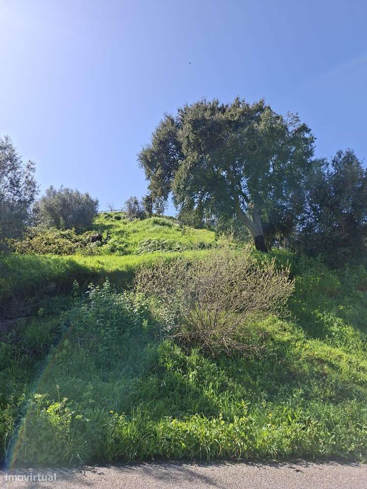 Oportunidade – Lote de Terreno em Montargil-13