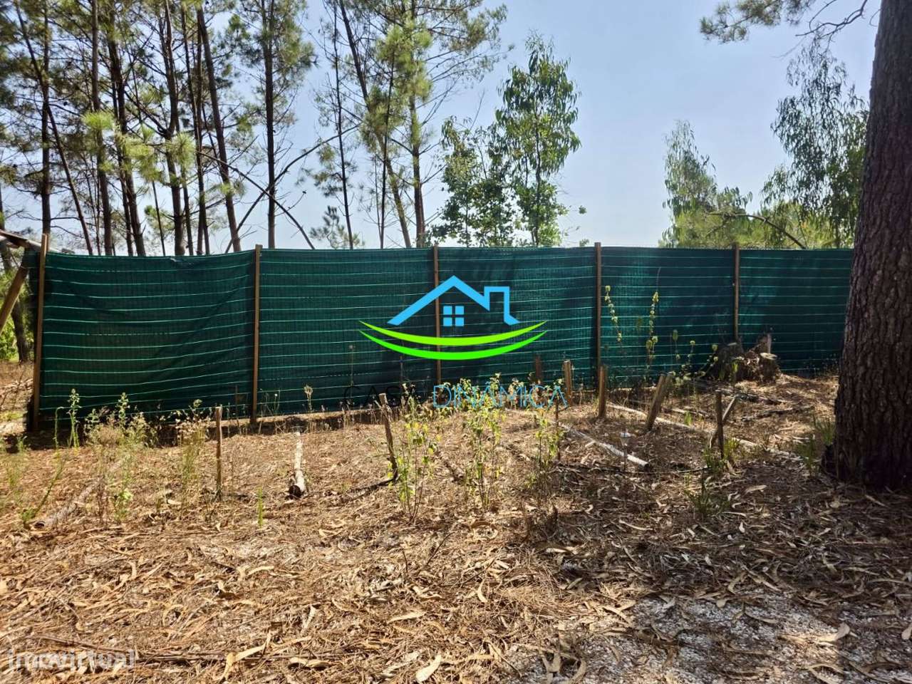 Terreno com 8.369 m² e possibilidade de construção – Arazede, Mon-20
