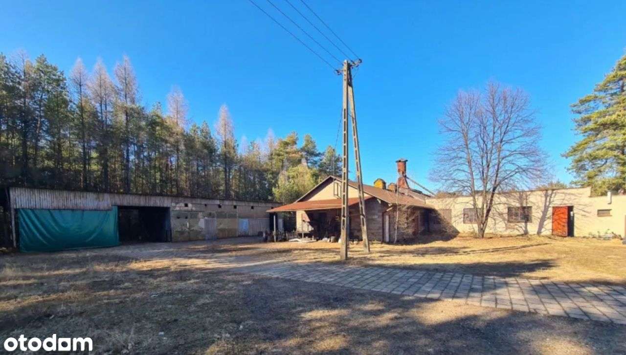 Do wynajęci hale-produkcyjno-magazynowe-biuro+plac - Pełny obrazek: 3/15