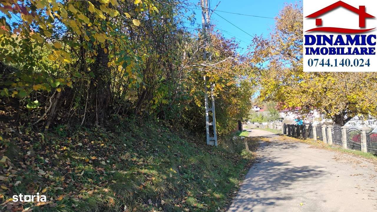 3600 mp teren intravilan, sat Bistrita, 16 Euro/mp-2