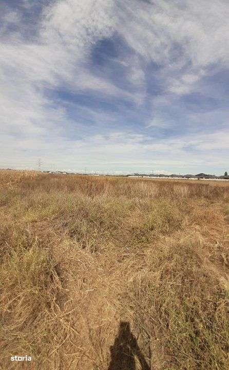 Doua loturi de teren! Ideal pentru constructie! Bragadiru,Oltetului-0