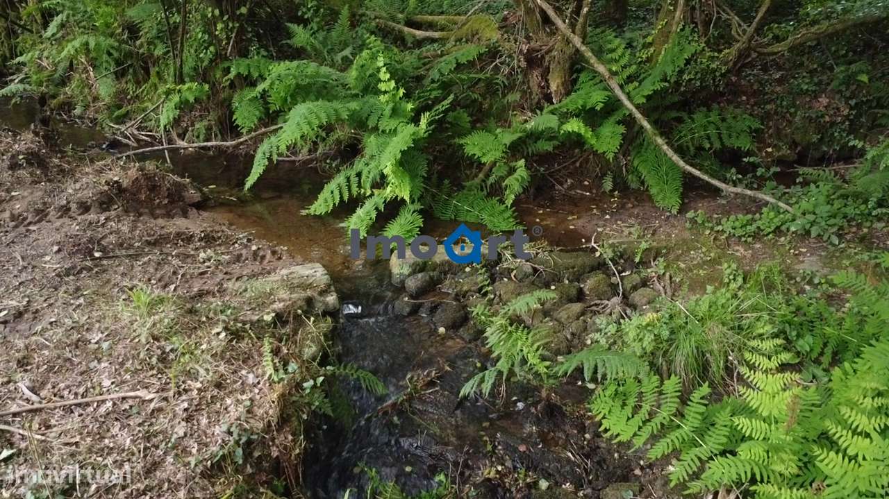 Quinta/Moradia em Pedra com 5.500 m² de Terreno em Fornelos – Ponte-12