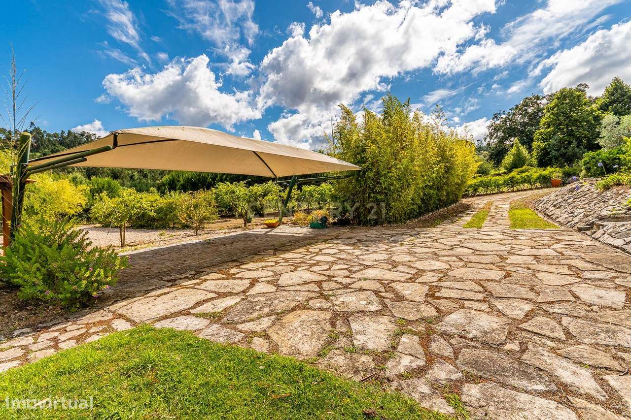 Quinta em Gondemaria em Ourém - Oportunidade Única-18