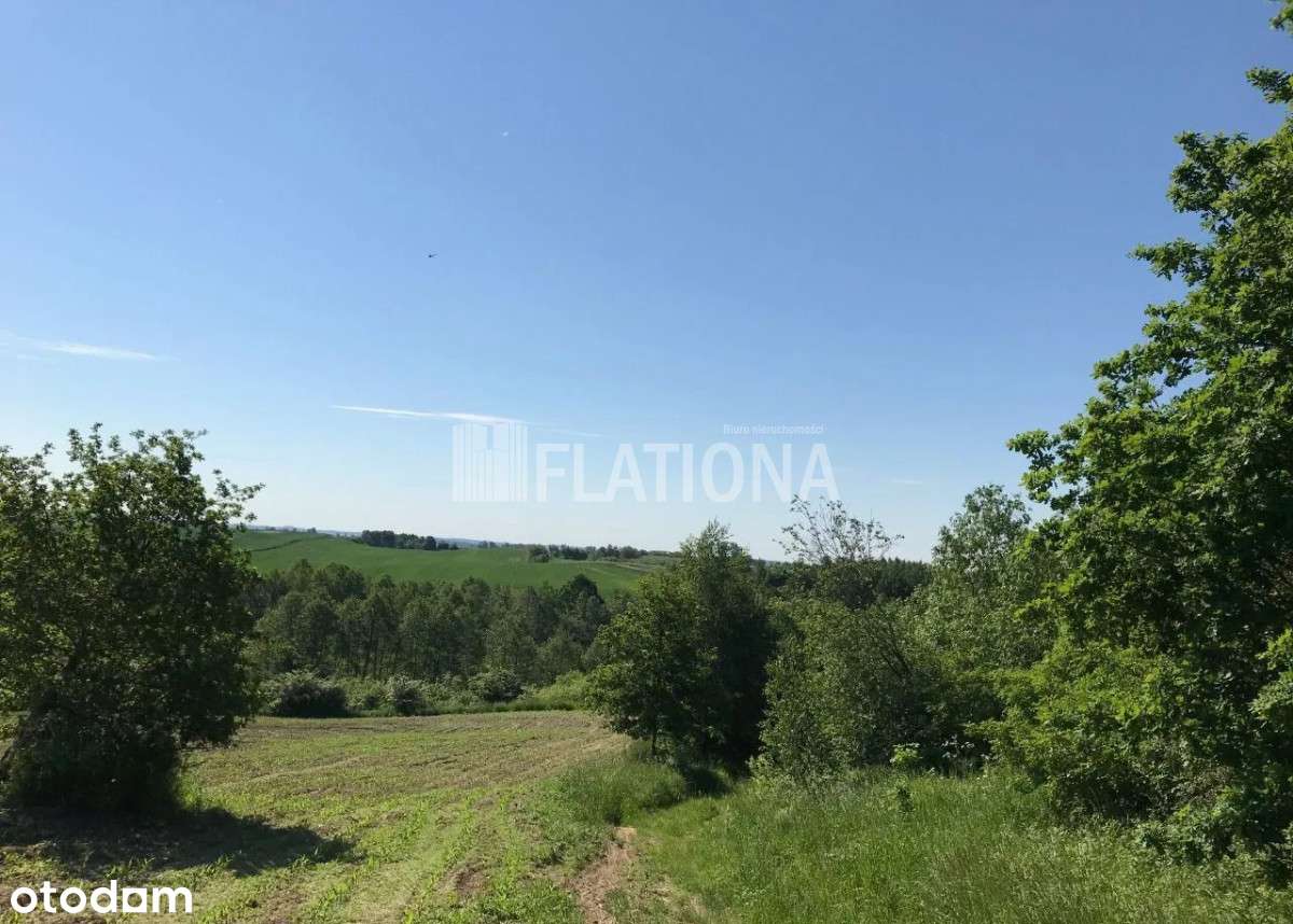 Działka o powierzchni 3919m2-8