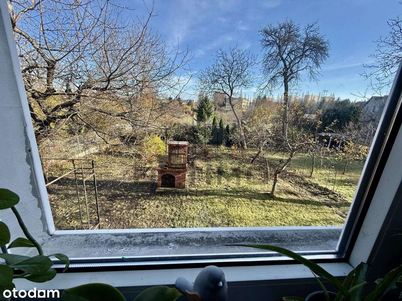 Dom w znakomitej lokalizacji - Centrum-12