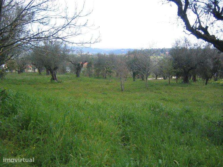 Moradia T3 para restauto, ourém - nossa senhora da piedade - Grande imagem: 5/6