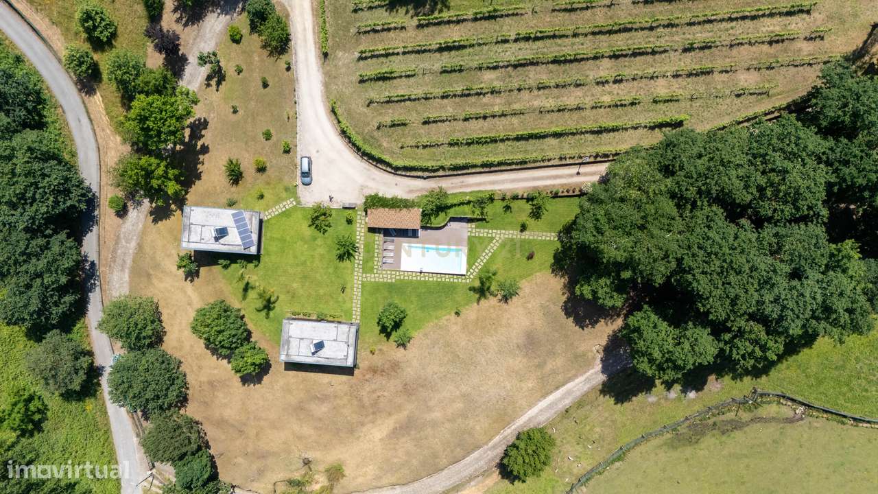 Quinta de Luxo de Vinho e Natureza com Potencial de Expansão perto do-39