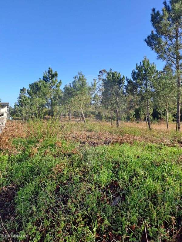 Terreno  para venda - Grande imagem: 3/10