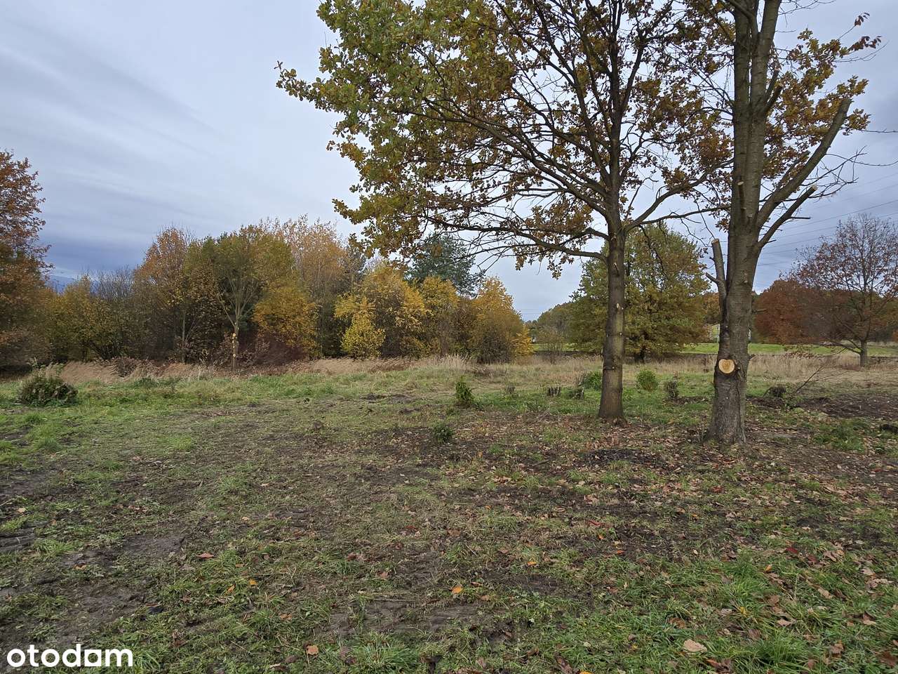 Okazja 120 zł /m2 - działka Orzesze Jaśkowice - Pełny obrazek: 3/6