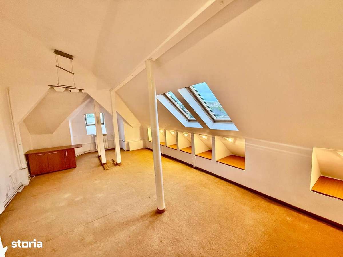 Mosilor, Vila 9 camere, ideala Birouri, Clinica, After School, 330 mp-16