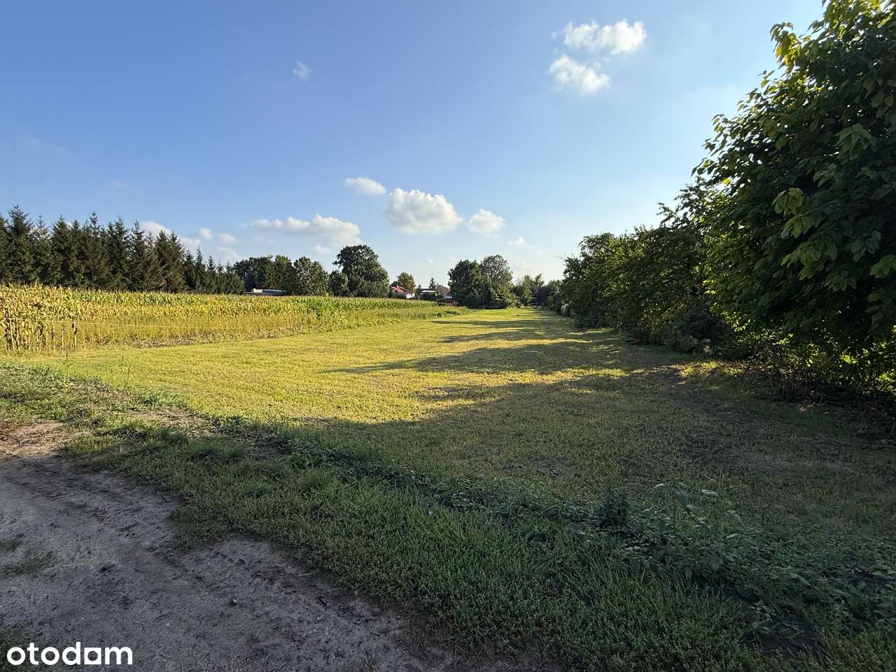 Działka budowlana w Wilczkowie – cisza + dobry dojazd do Wrocławia - Pełny obrazek: 5/13