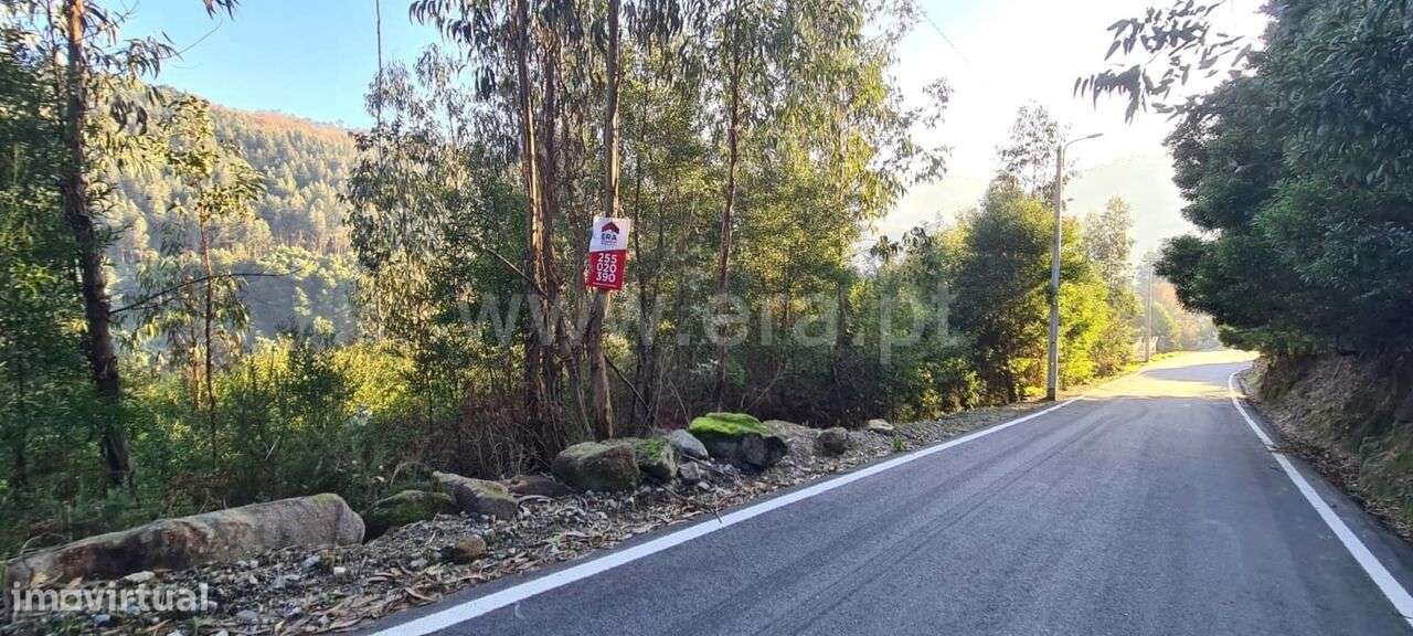 Terreno / Penafiel, Abragão - Grande imagem: 5/16