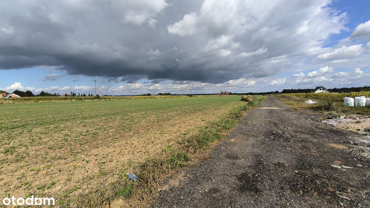 Twój dom przy lesie – 1000 m² w Brzezinie, 5 min Leśnica, 0% prowizji - Pełny obrazek: 4/4