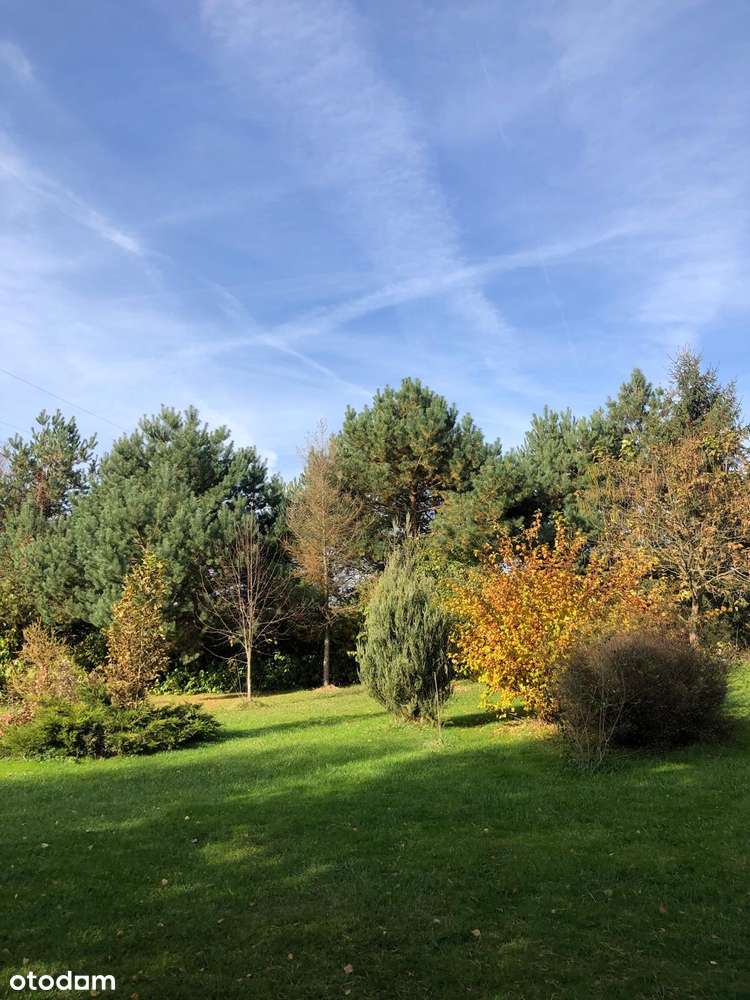 Piękne siedlisko z potencjałem w Dąbrowie 10 km od Poznania-12