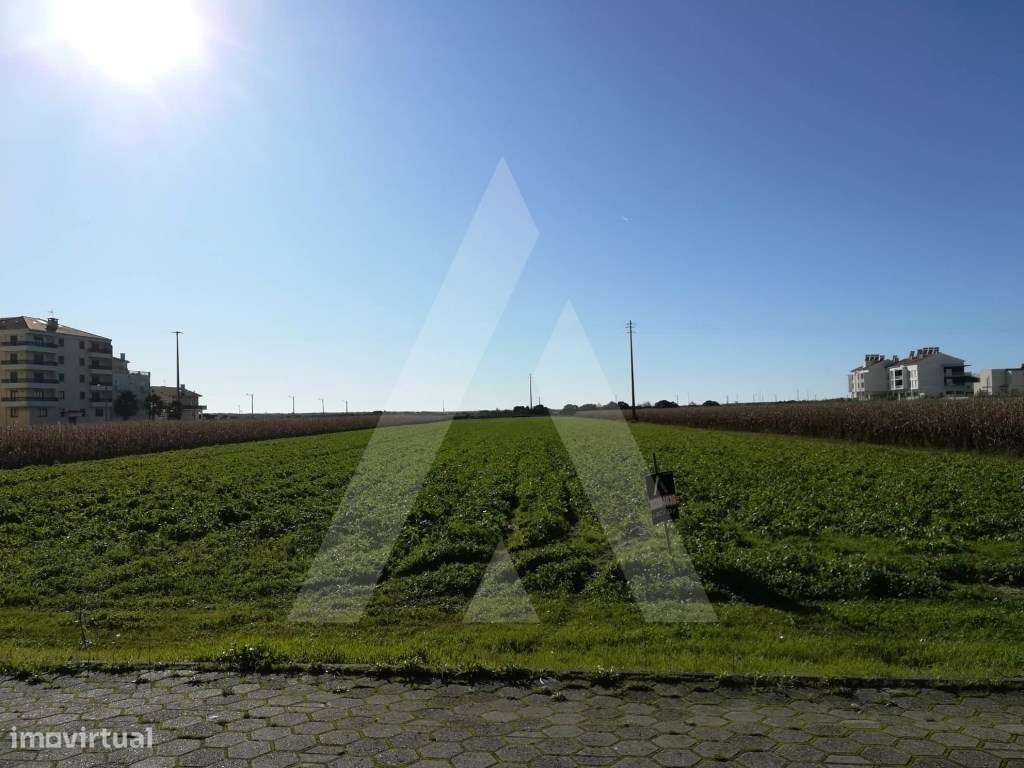 Terreno para construção na Praia da Vagueira - Grande imagem: 4/10