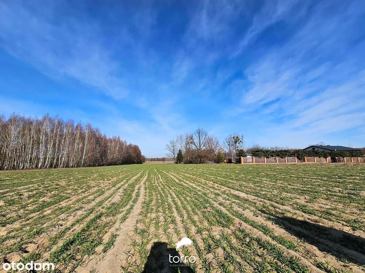 Dwie Działki 3000m² w Kęblinach z WZ - 30min od Centrum Łodzi - Pełny obrazek: 5/14