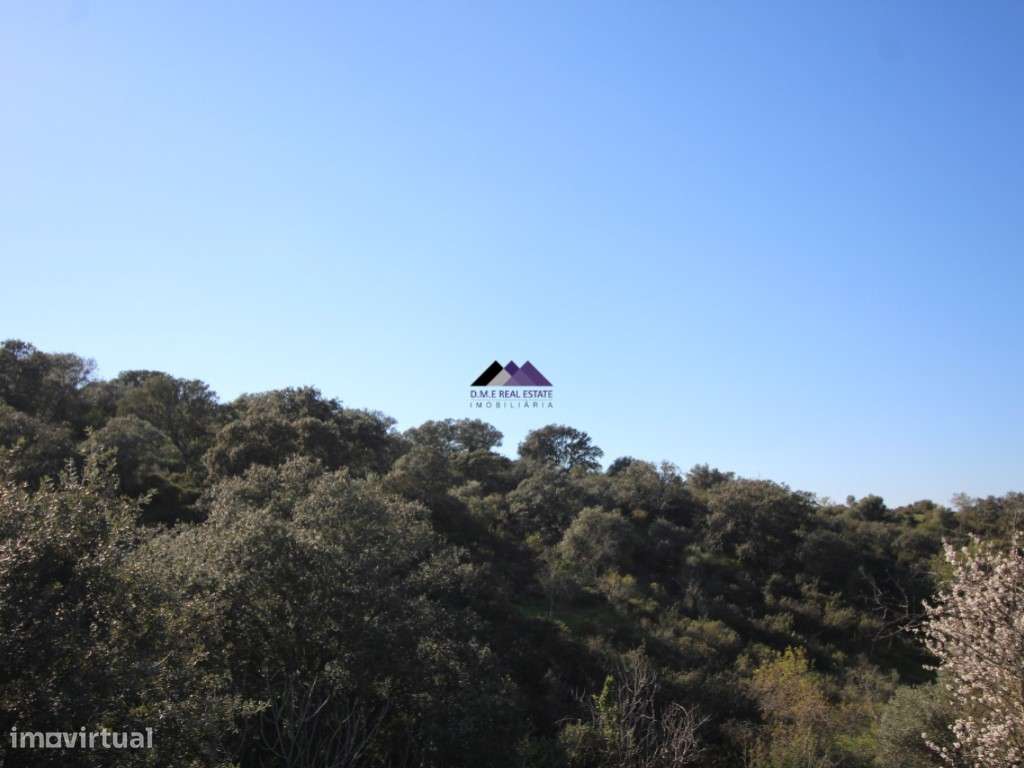 Terreno Rústico | 34.000 m² | Corga da Madeira - Junqueira, Castro ...-14