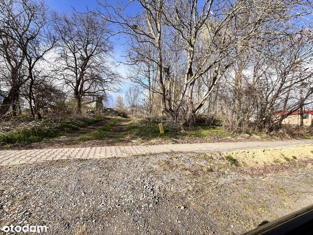 Działka 0,25 ha z mediami–cisza, zieleń, potencjał - Pełny obrazek: 5/12