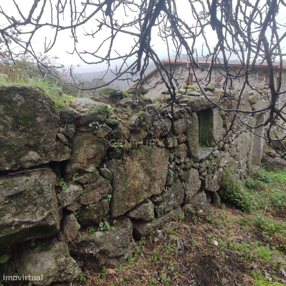 Casa em Ruínas em Casal da Serra, São Vicente da Beira, Castelo Branco - Grande imagem: 5/8