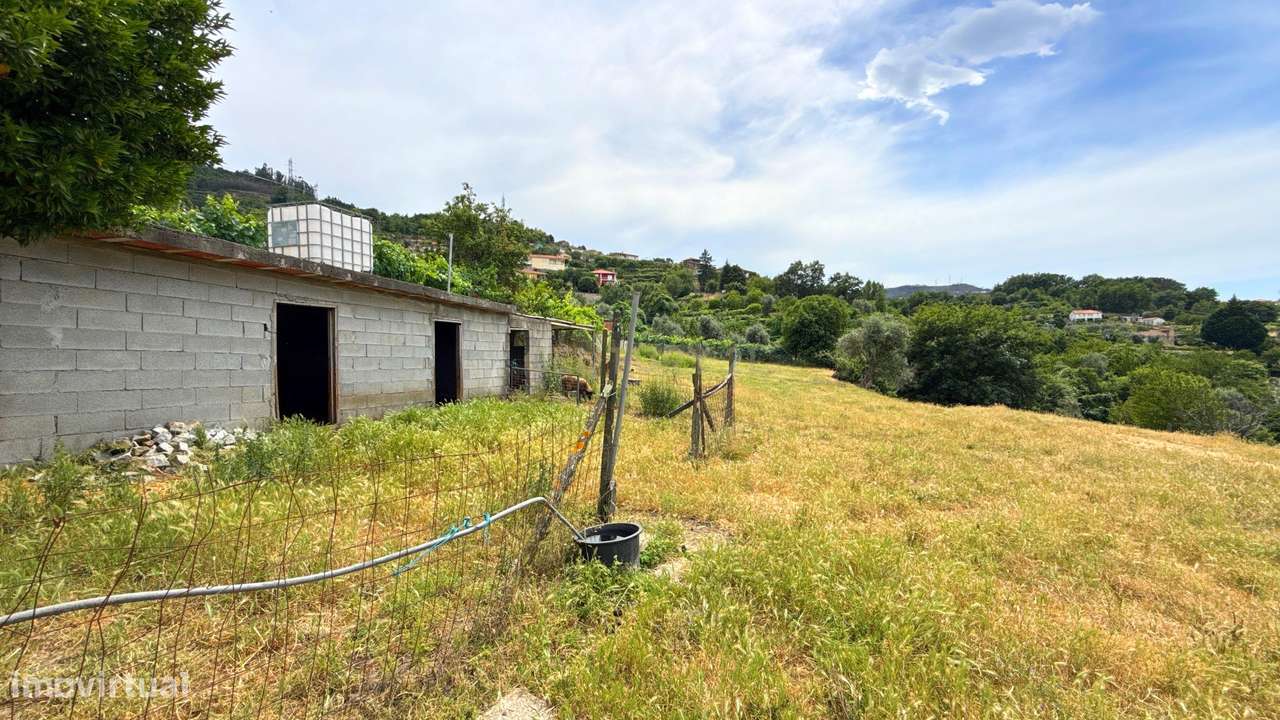 Quinta em Miomães, Resende | Um refúgio rural com cerca de 4 hectares-32