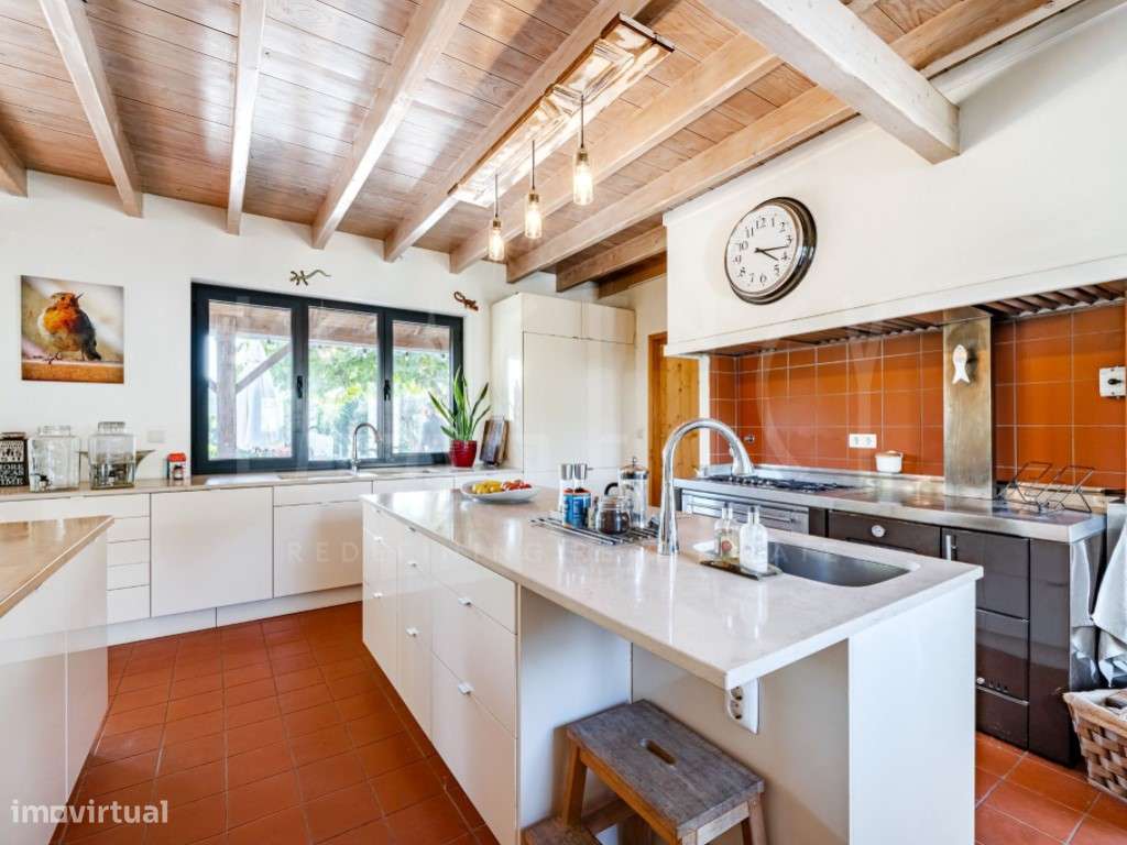 Excecional Quinta para Turismo Rural/Habitação - Entre Tábua e Oliv...-22