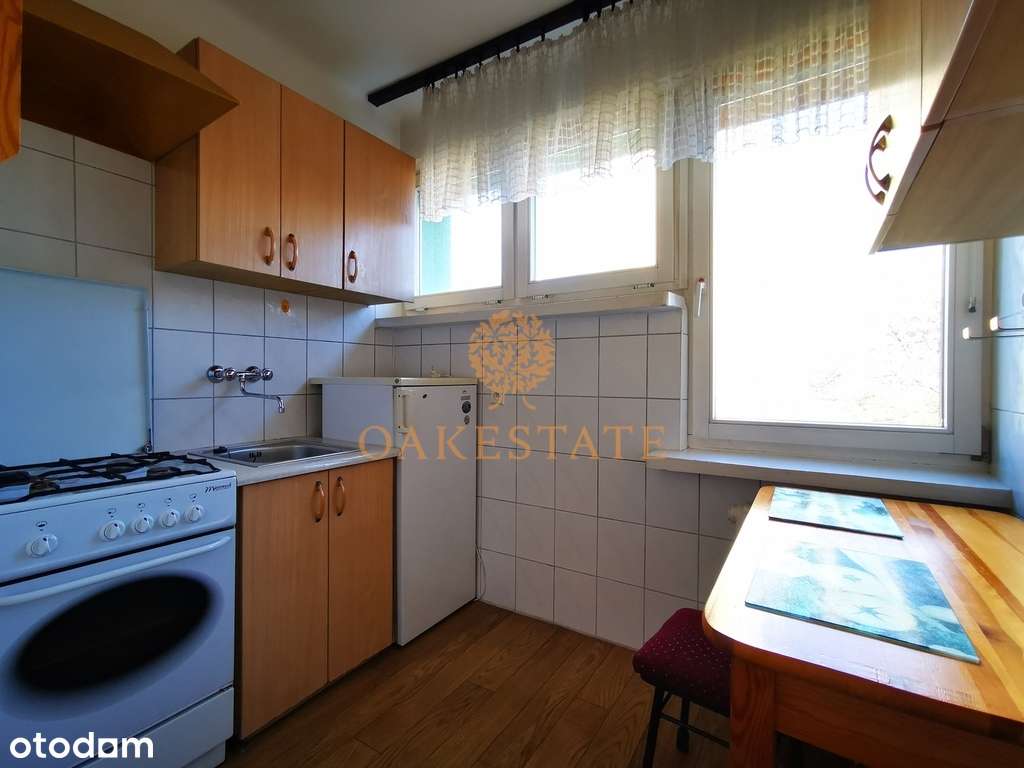 Mieszkanie na wynajem 4 pokoje 56m2 Sady - Pełny obrazek: 4/14