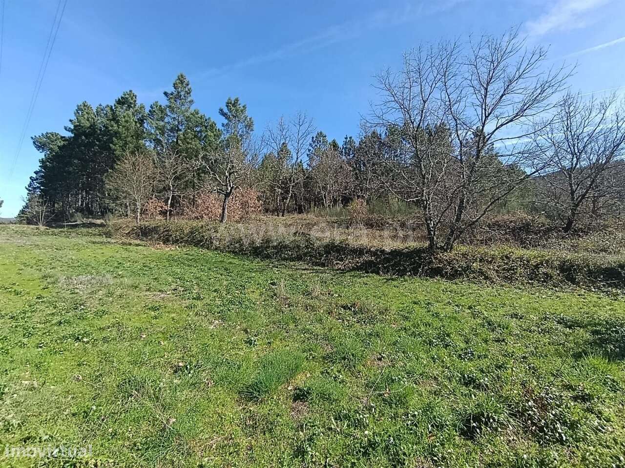 Terreno Rústico / Belmonte, Gaia - Grande imagem: 4/20