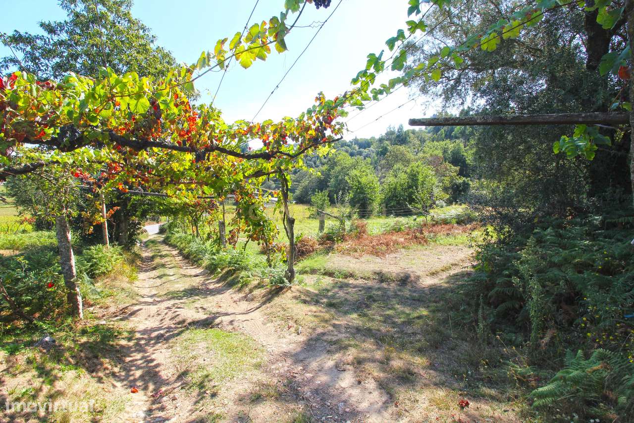 Quinta Gemieira, Ponte de Lima - Grande imagem: 5/16