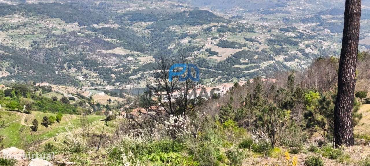 Quinta com 3 artigos urbanos, piscina e 9,4 ha em Resende-54